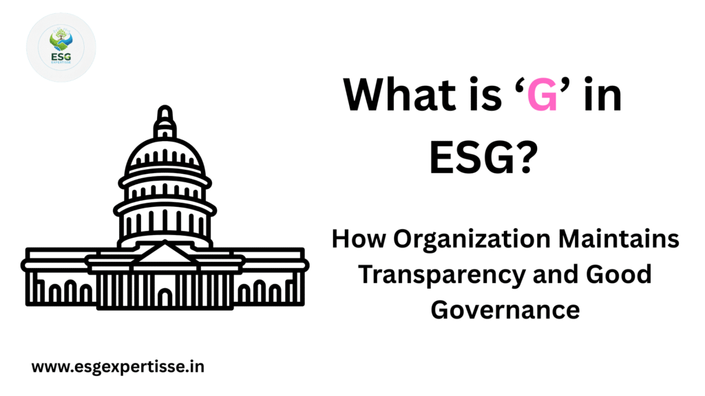 what is g in esg