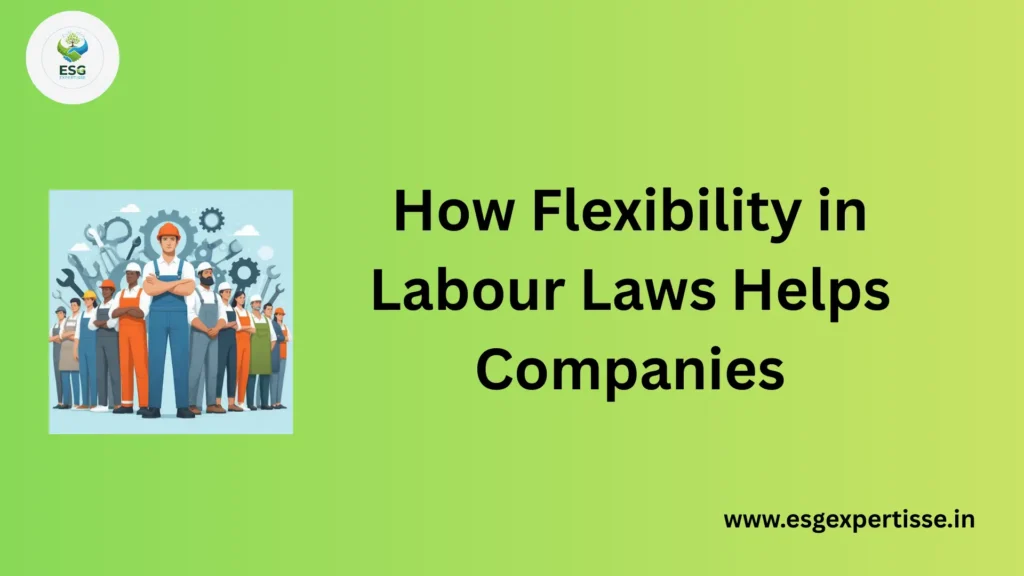 How-Flexibility-in-Labour-Laws-Helps-Companies