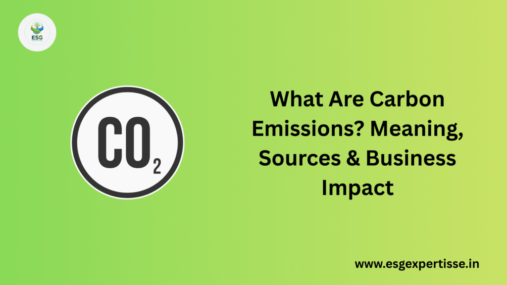 what are carbon emissions